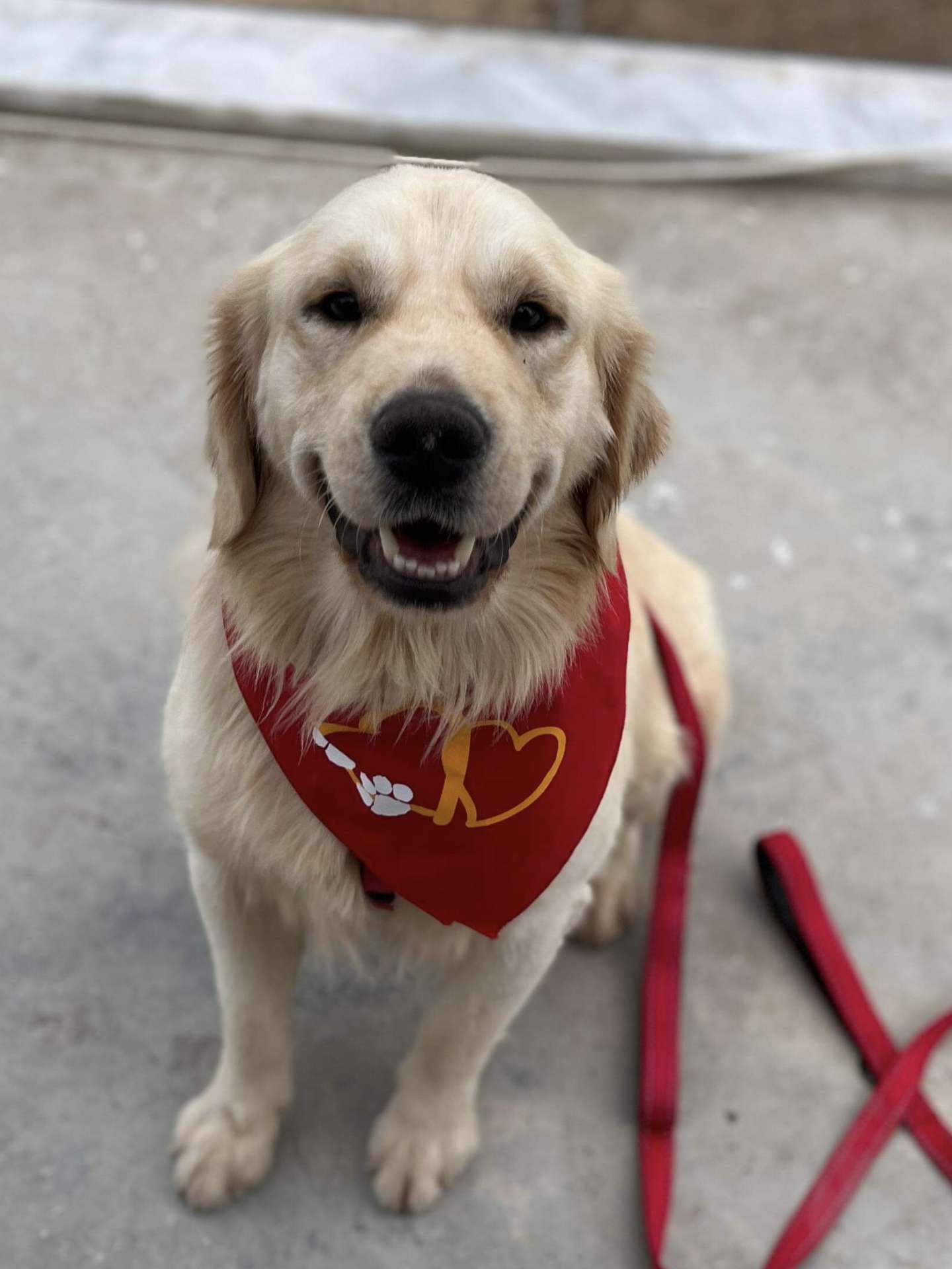 *ADOPTED* <br> Baker