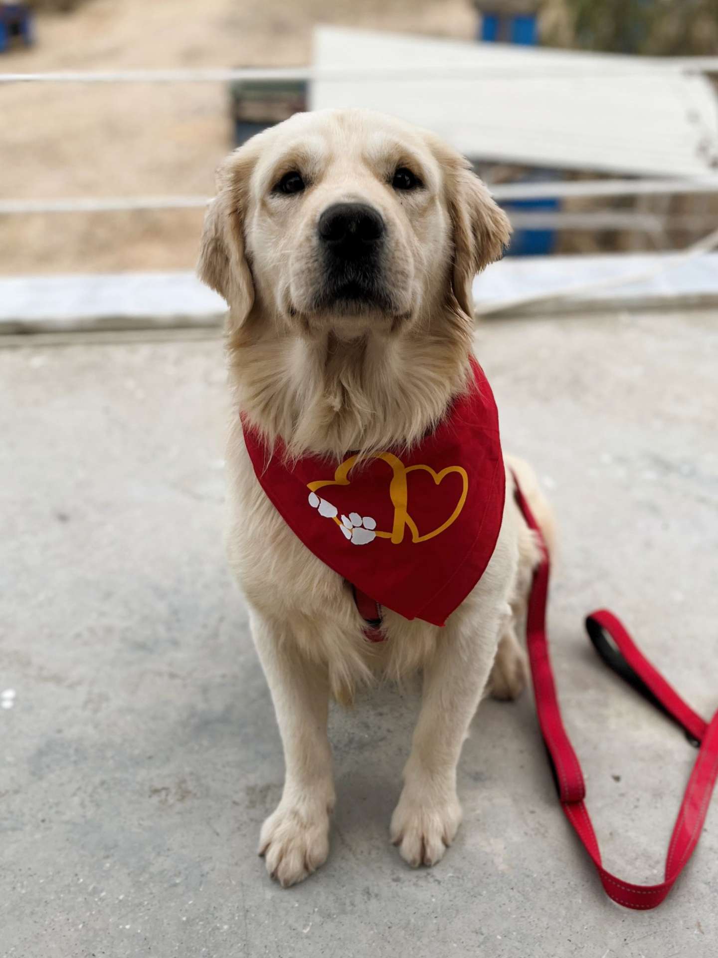 *ADOPTED* <br> Baker