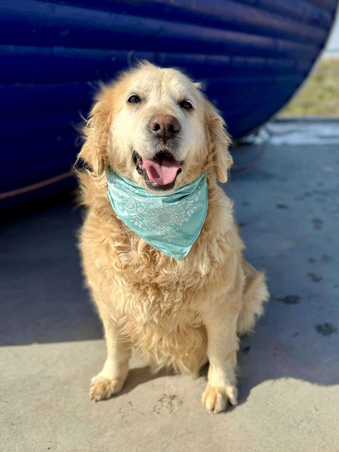 Goldilocks - Application Limit Exceeded