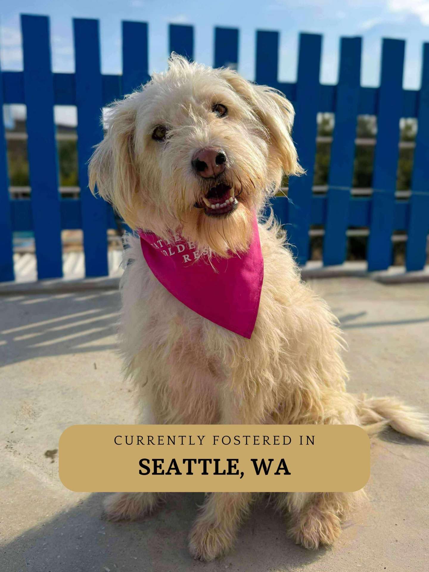 Lulu  APPLICATION LIMIT EXCEEDED