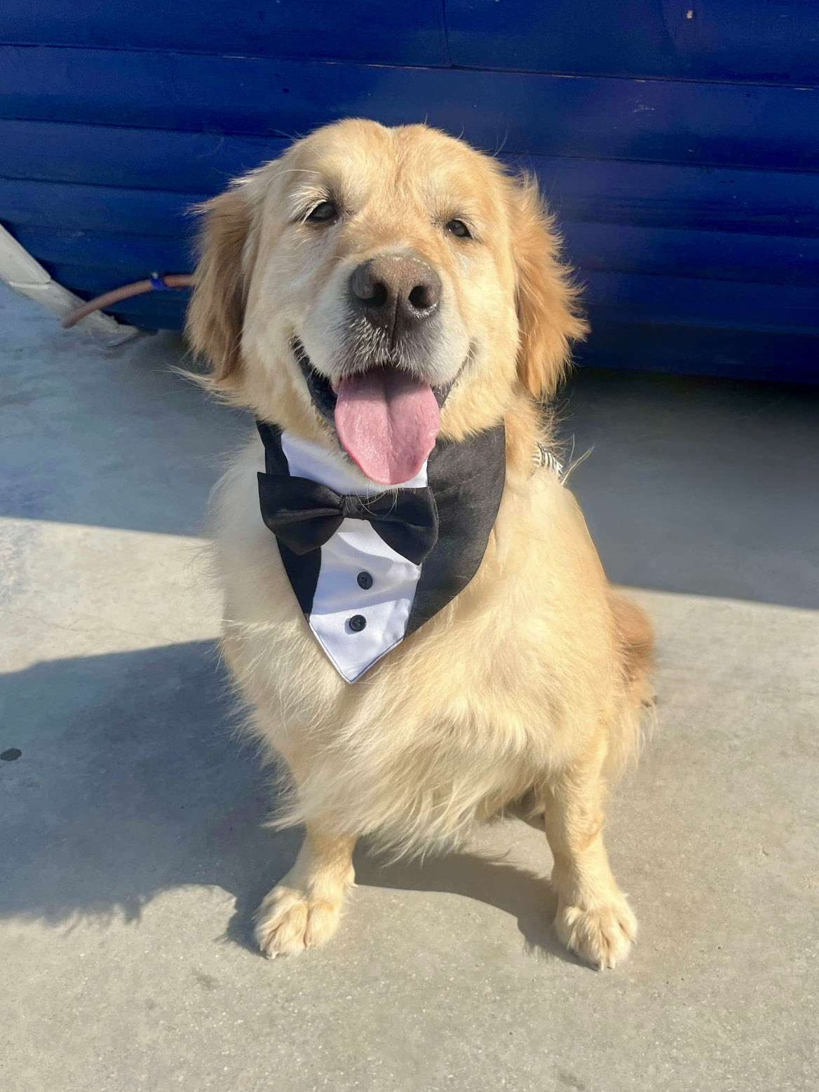 Franklin