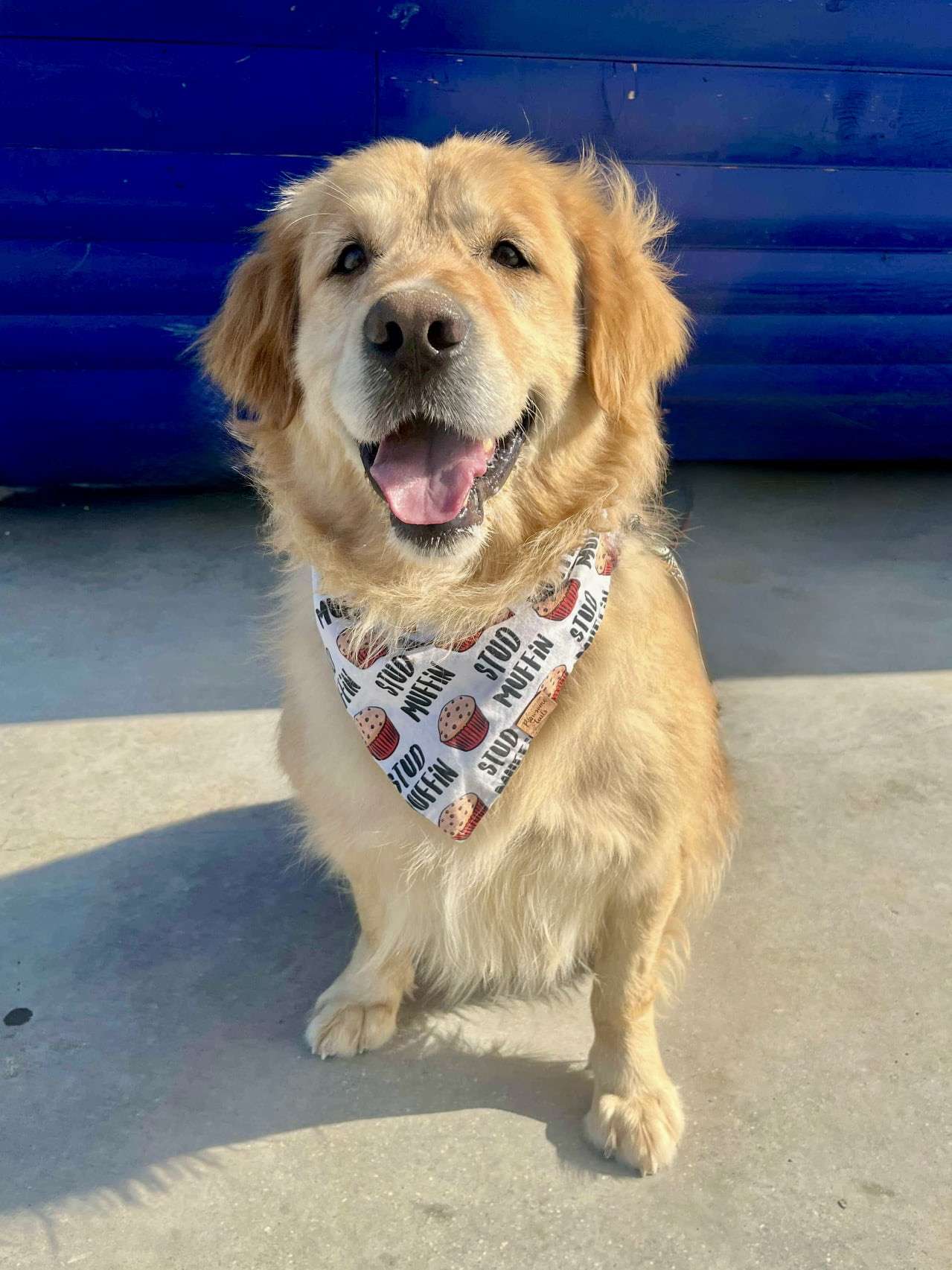 Franklin