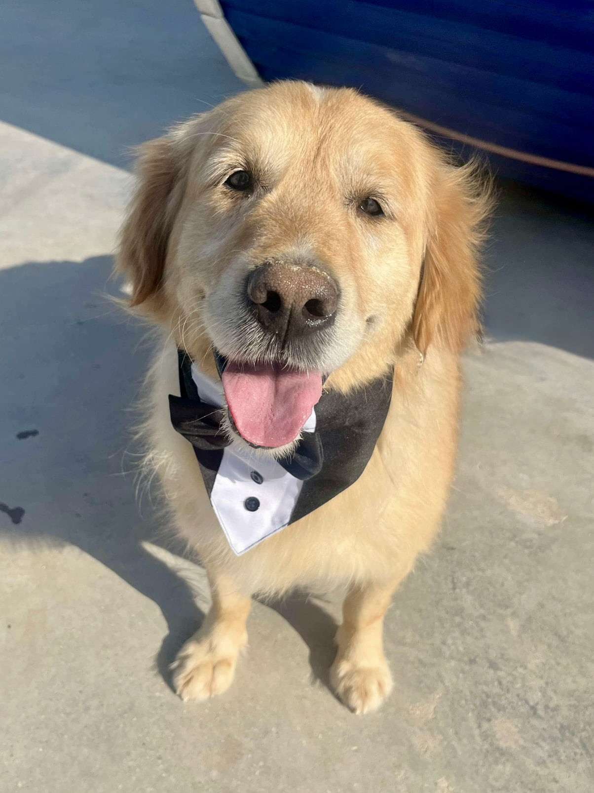 Franklin