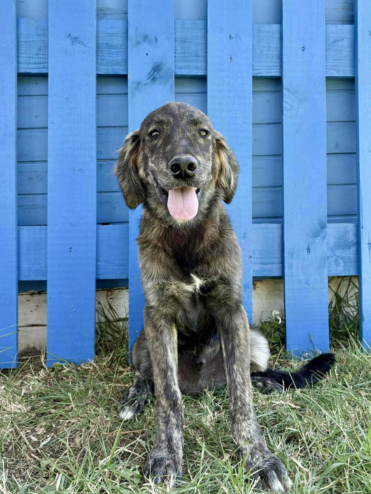 Truffle 