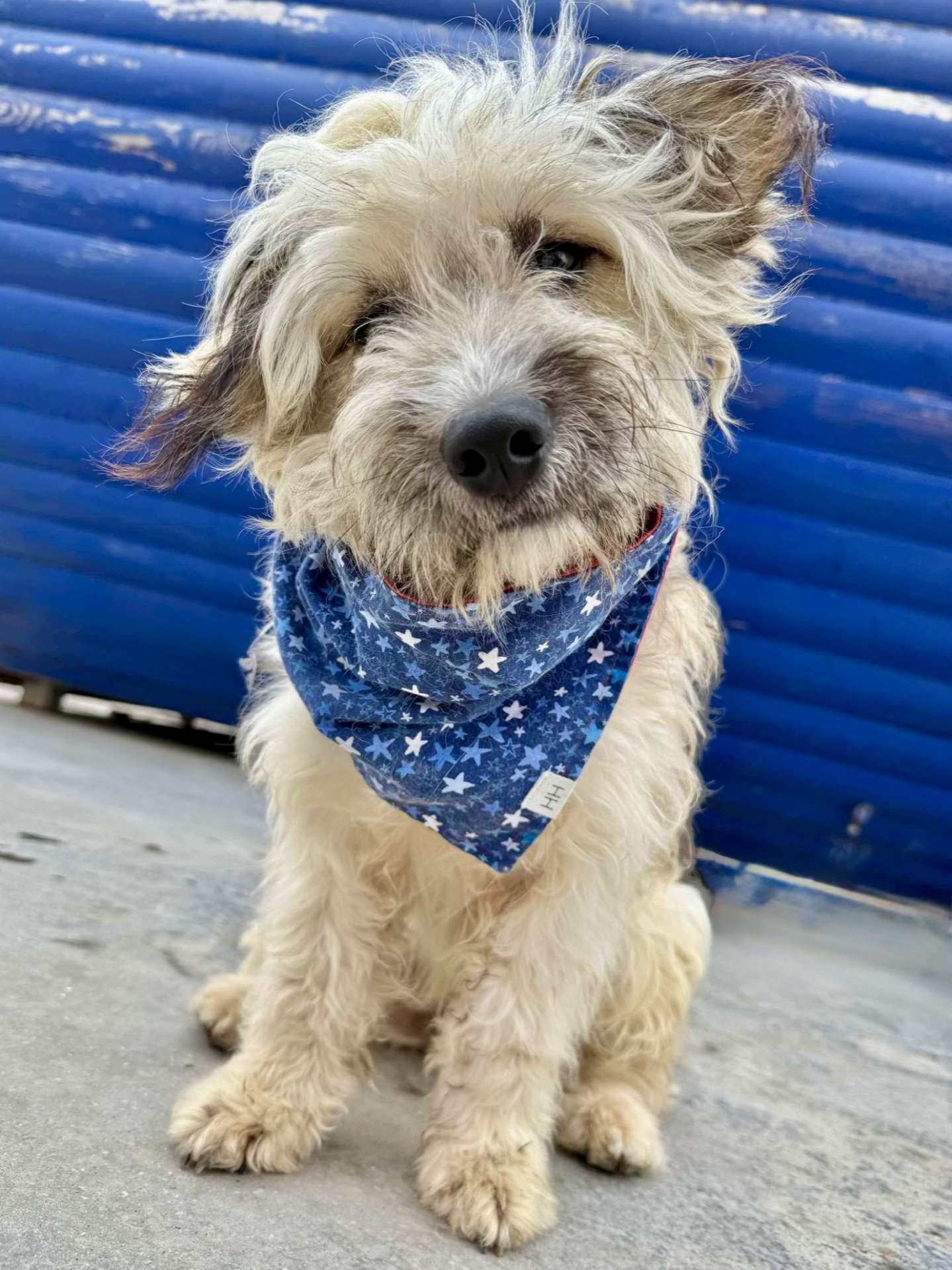 Pedro