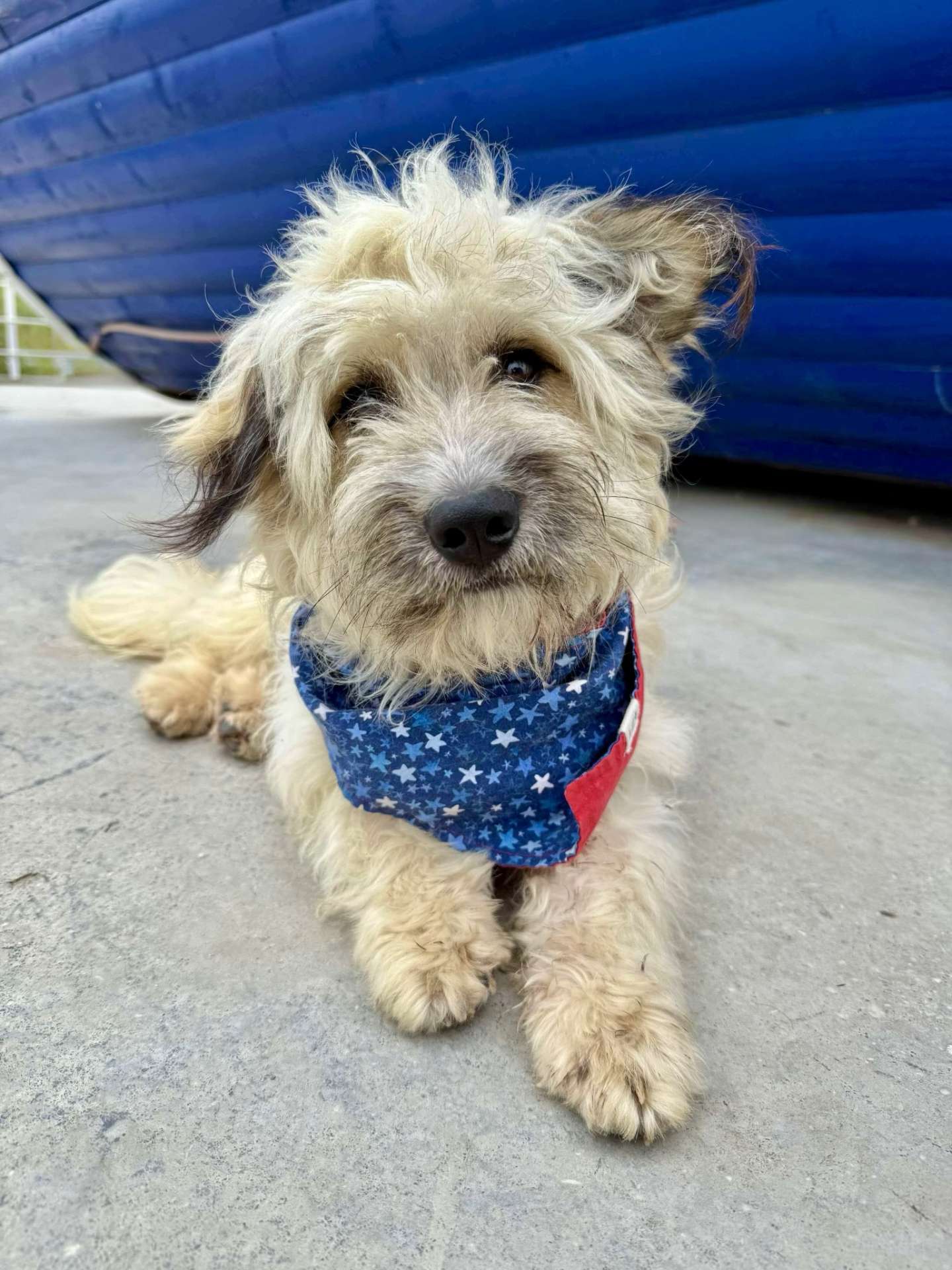 Pedro