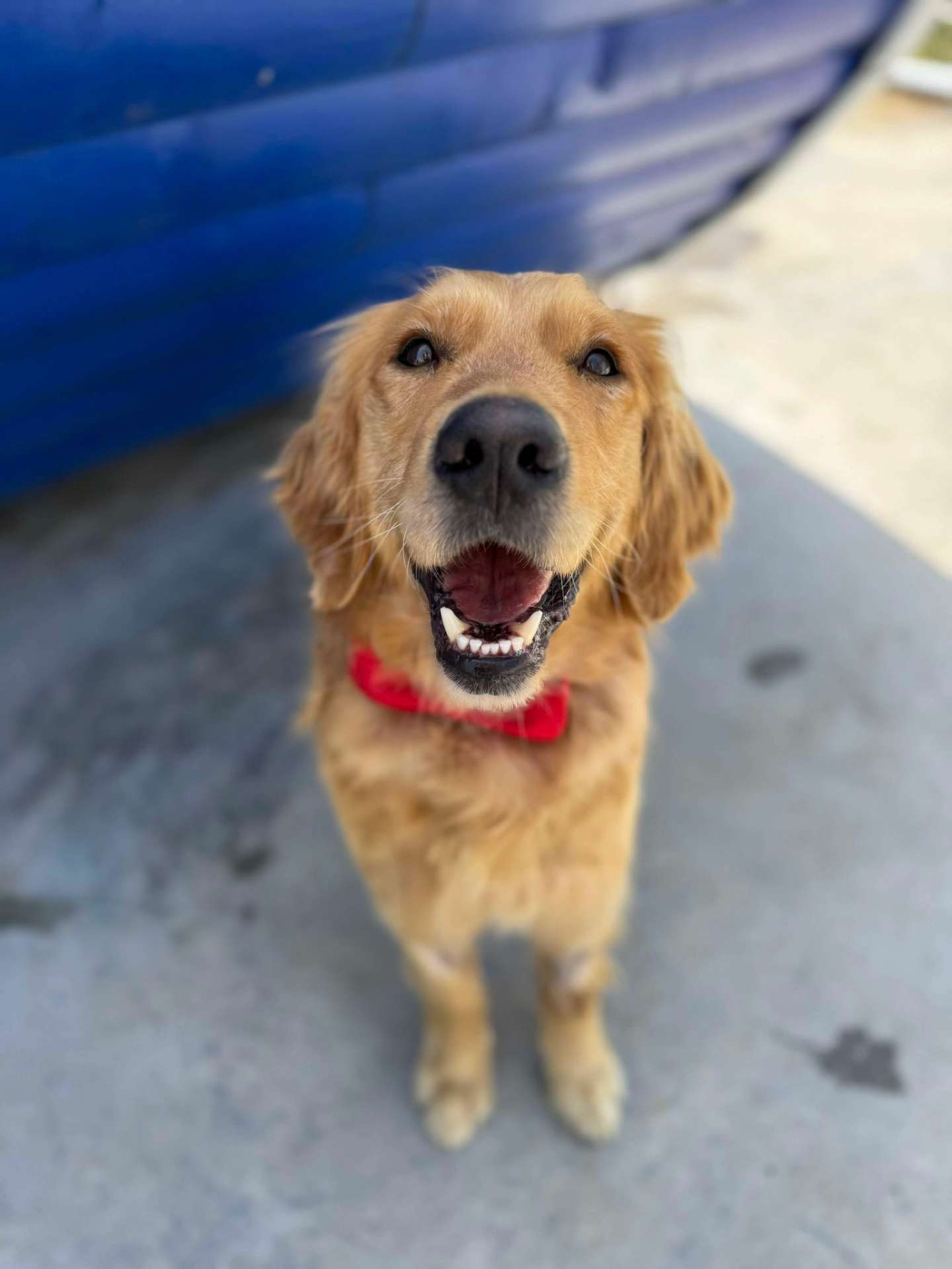 Jonah