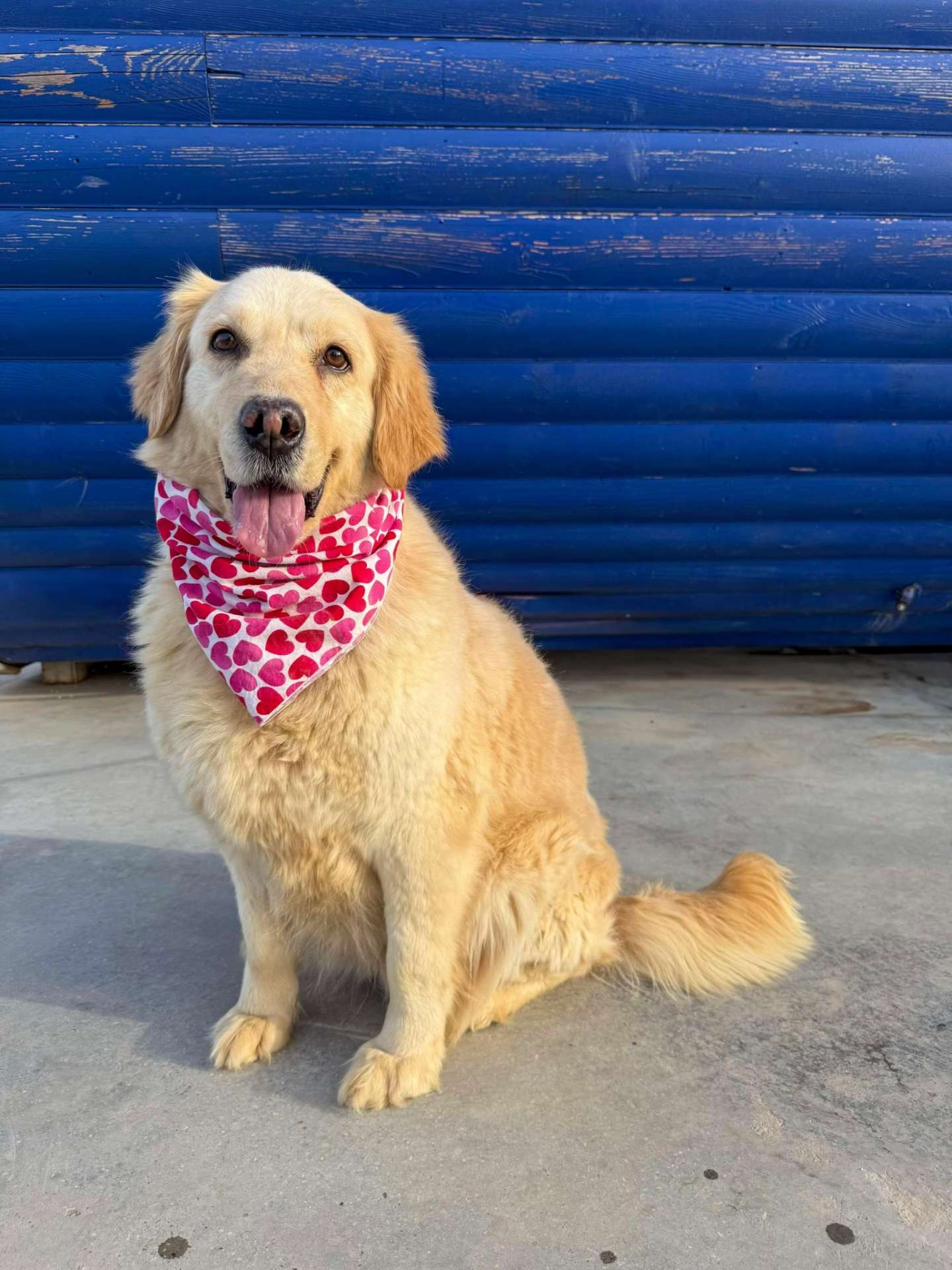 Maggie