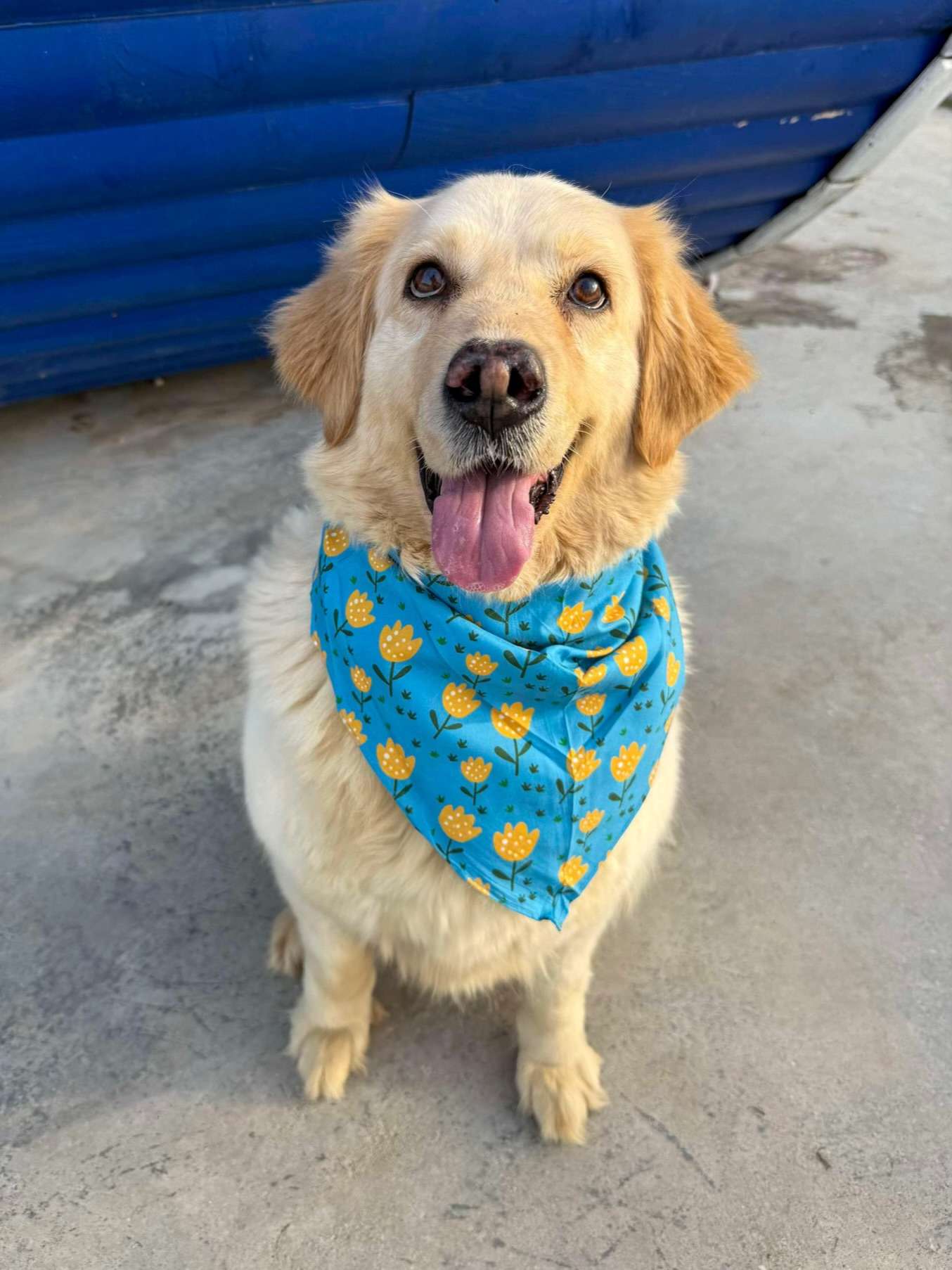 Maggie