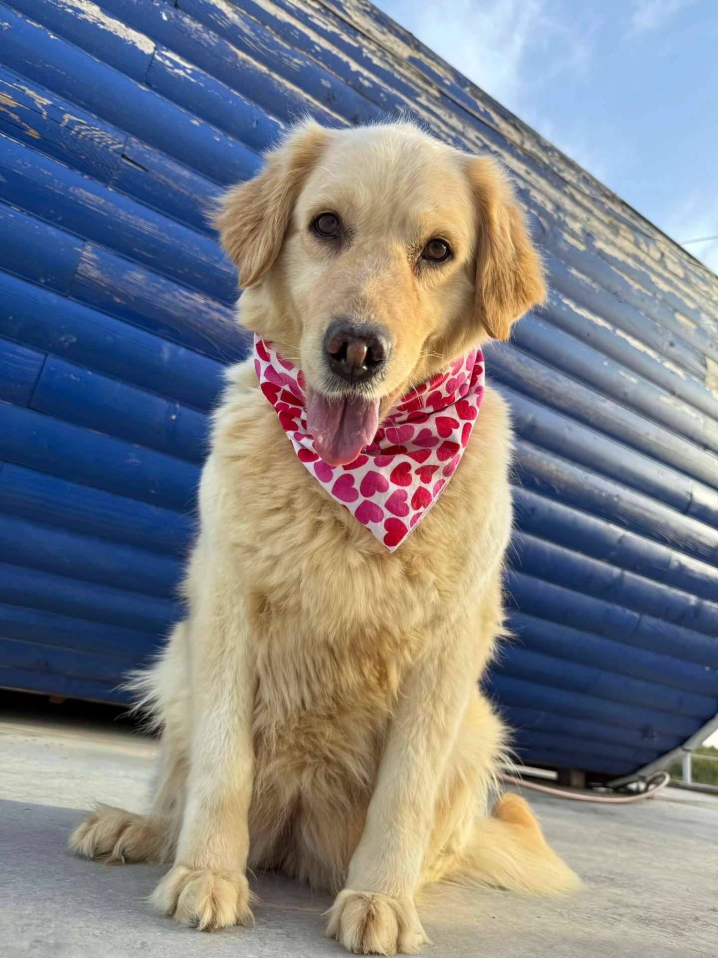 Maggie