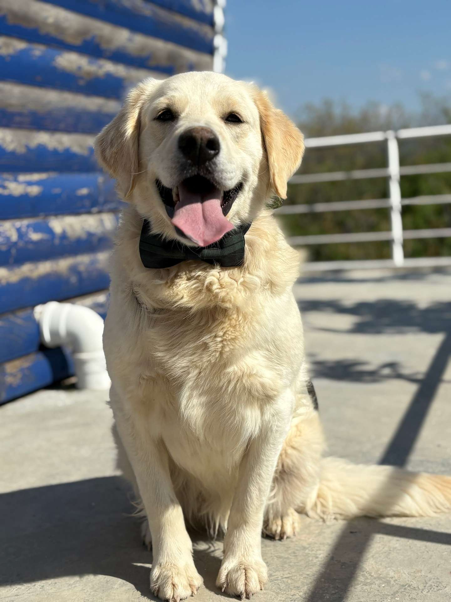 Logan 