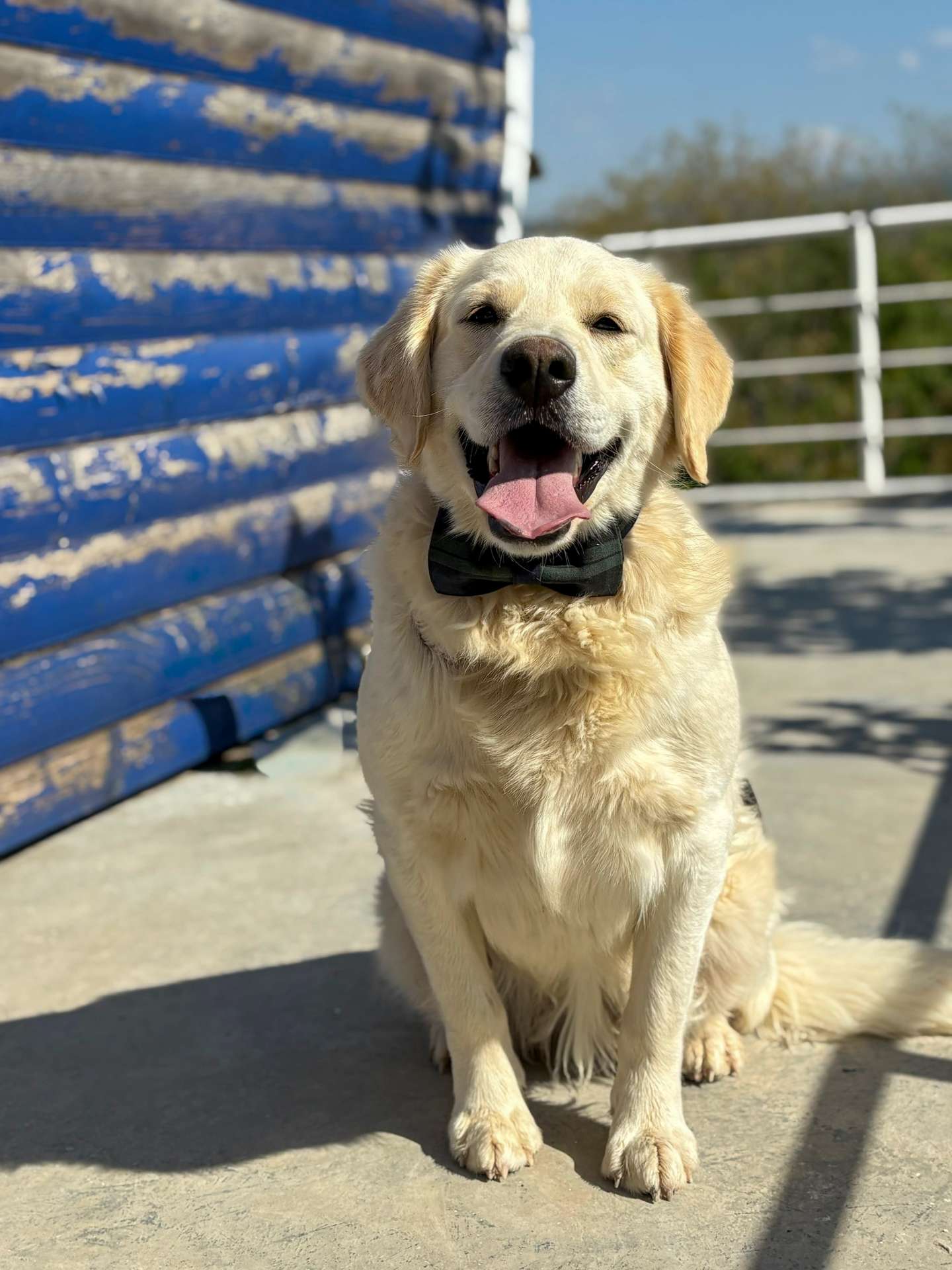 Logan 