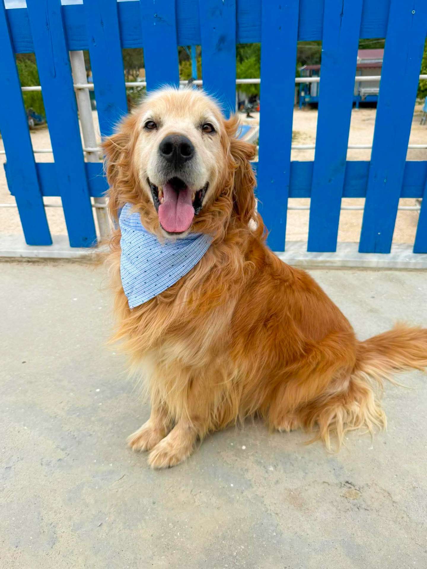Barkley