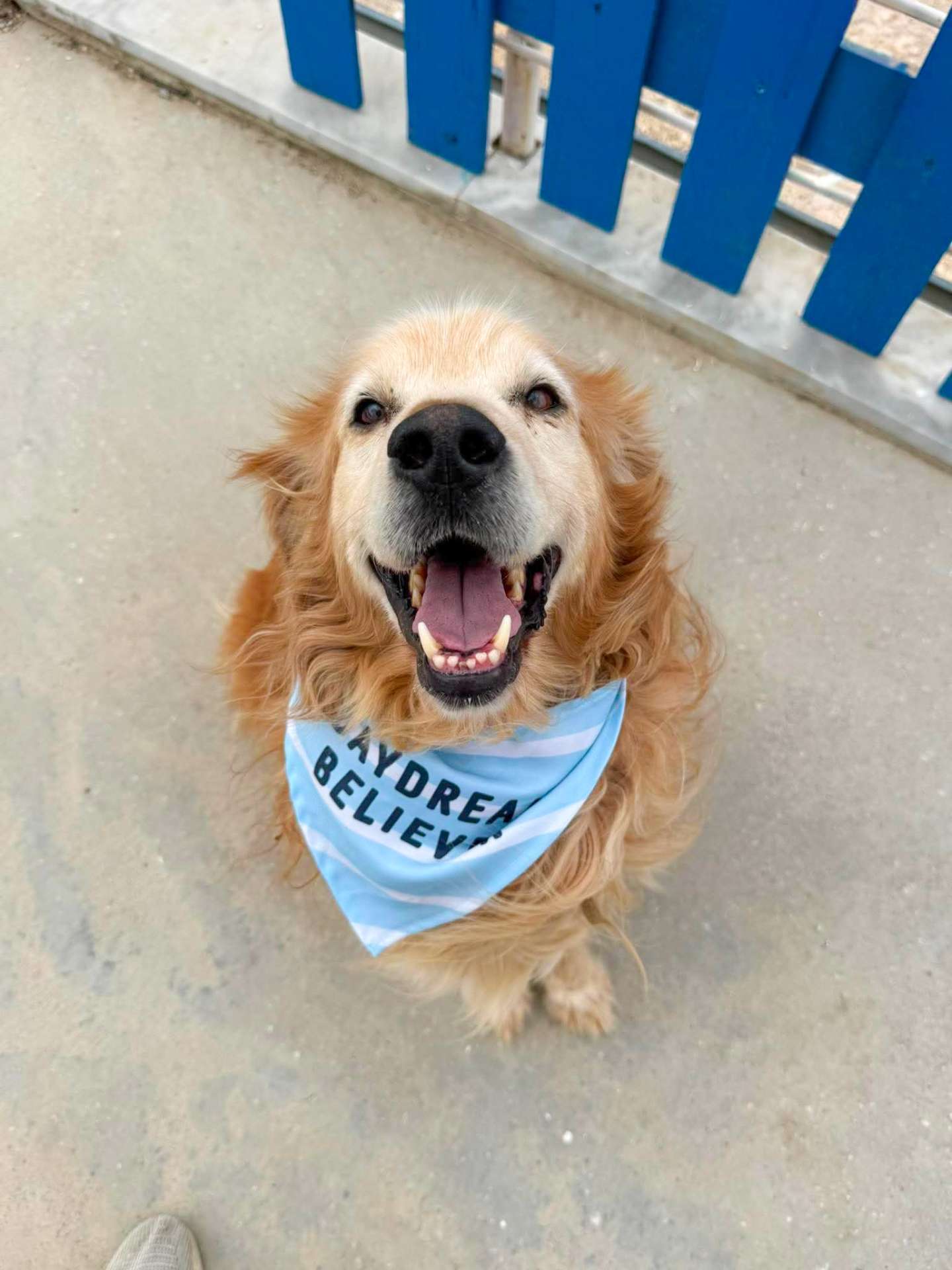 Barkley