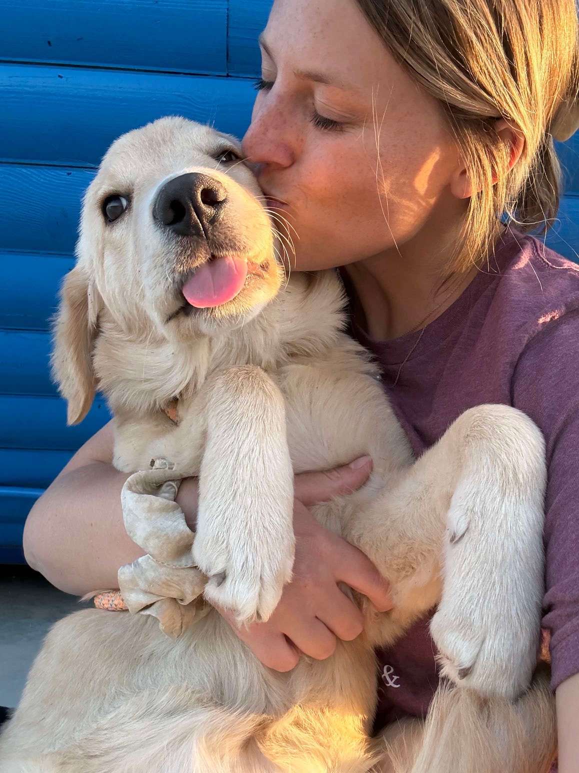 Amy - Application Limit Exceeded