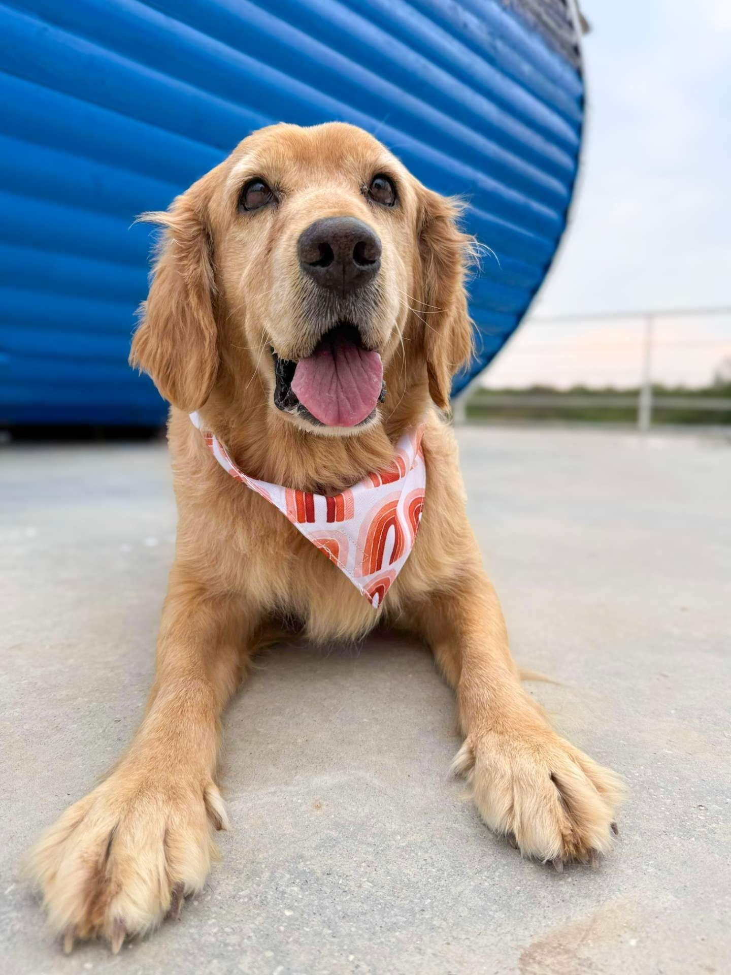 Hazel - Application Limit Exceeded