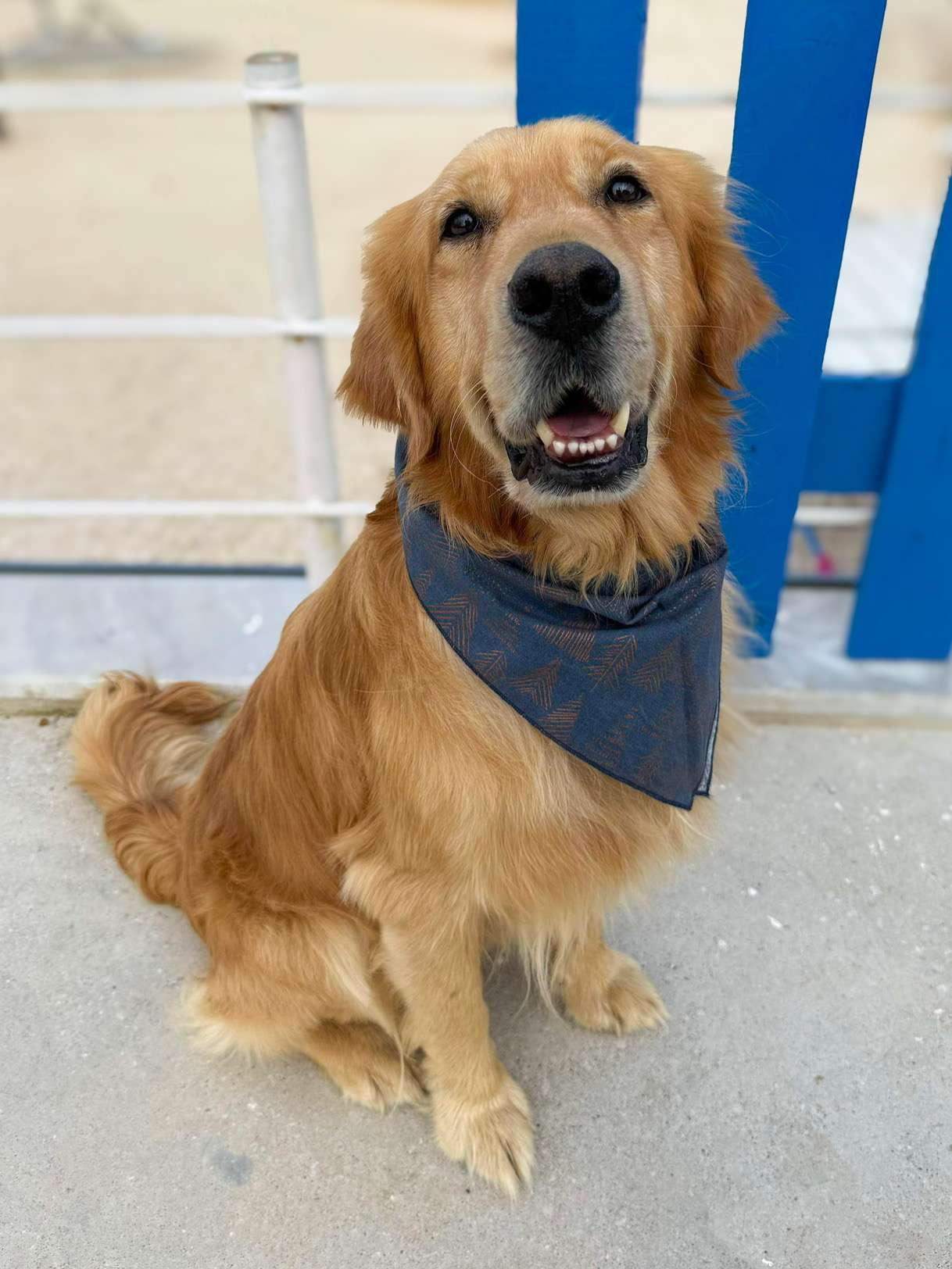 Cam-app limit exceeded