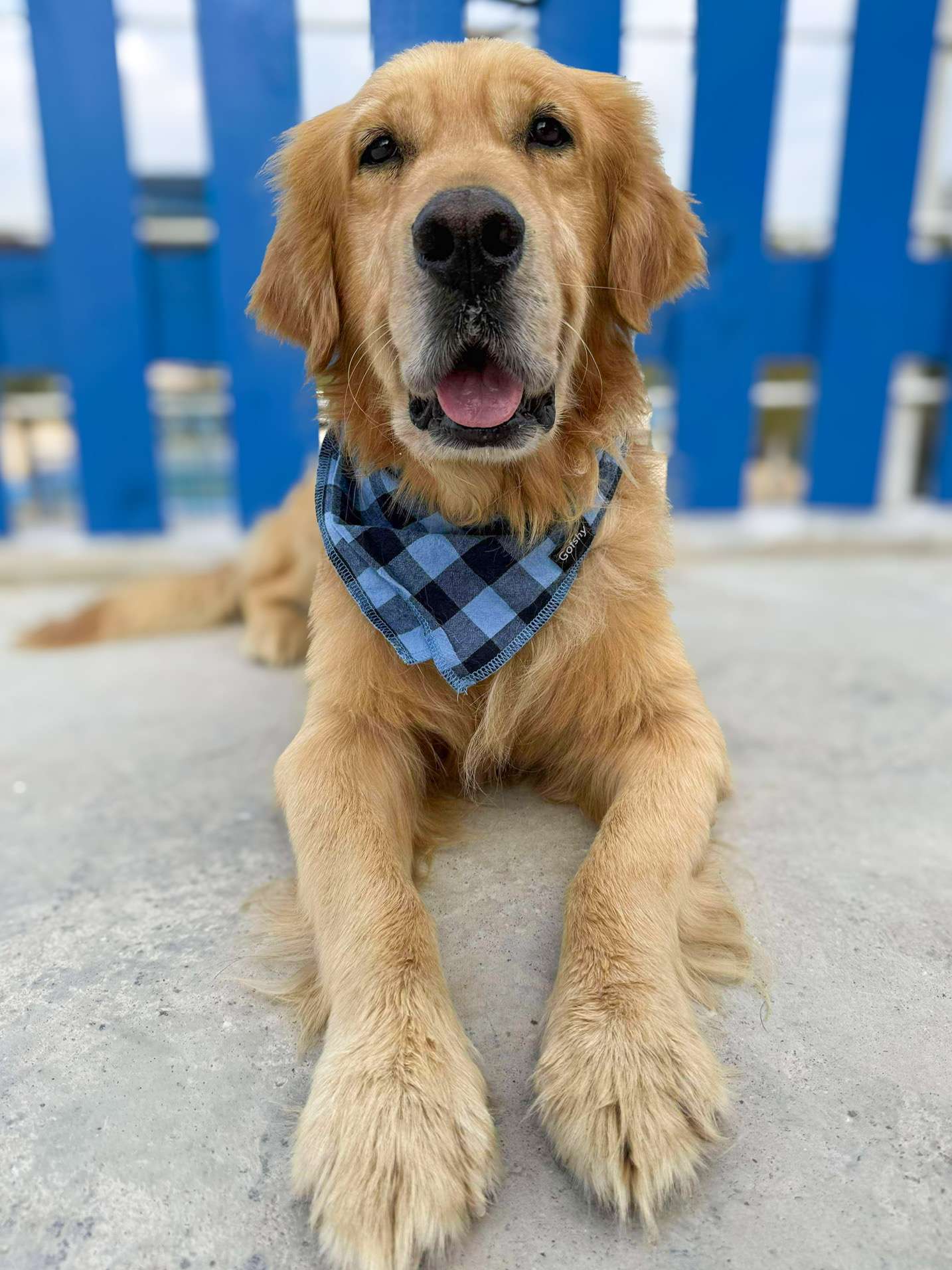 Cam-app limit exceeded