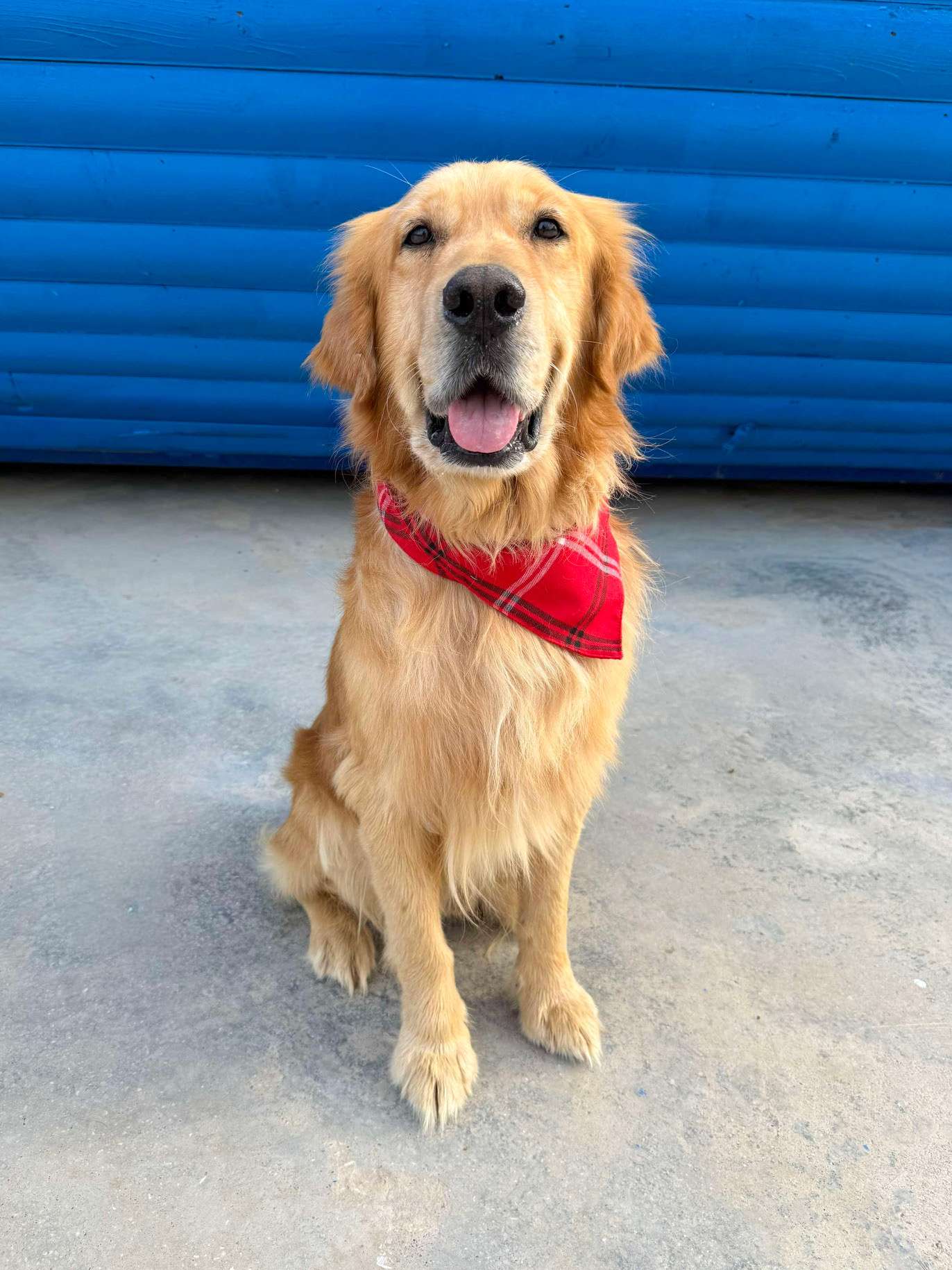 Cam-app limit exceeded