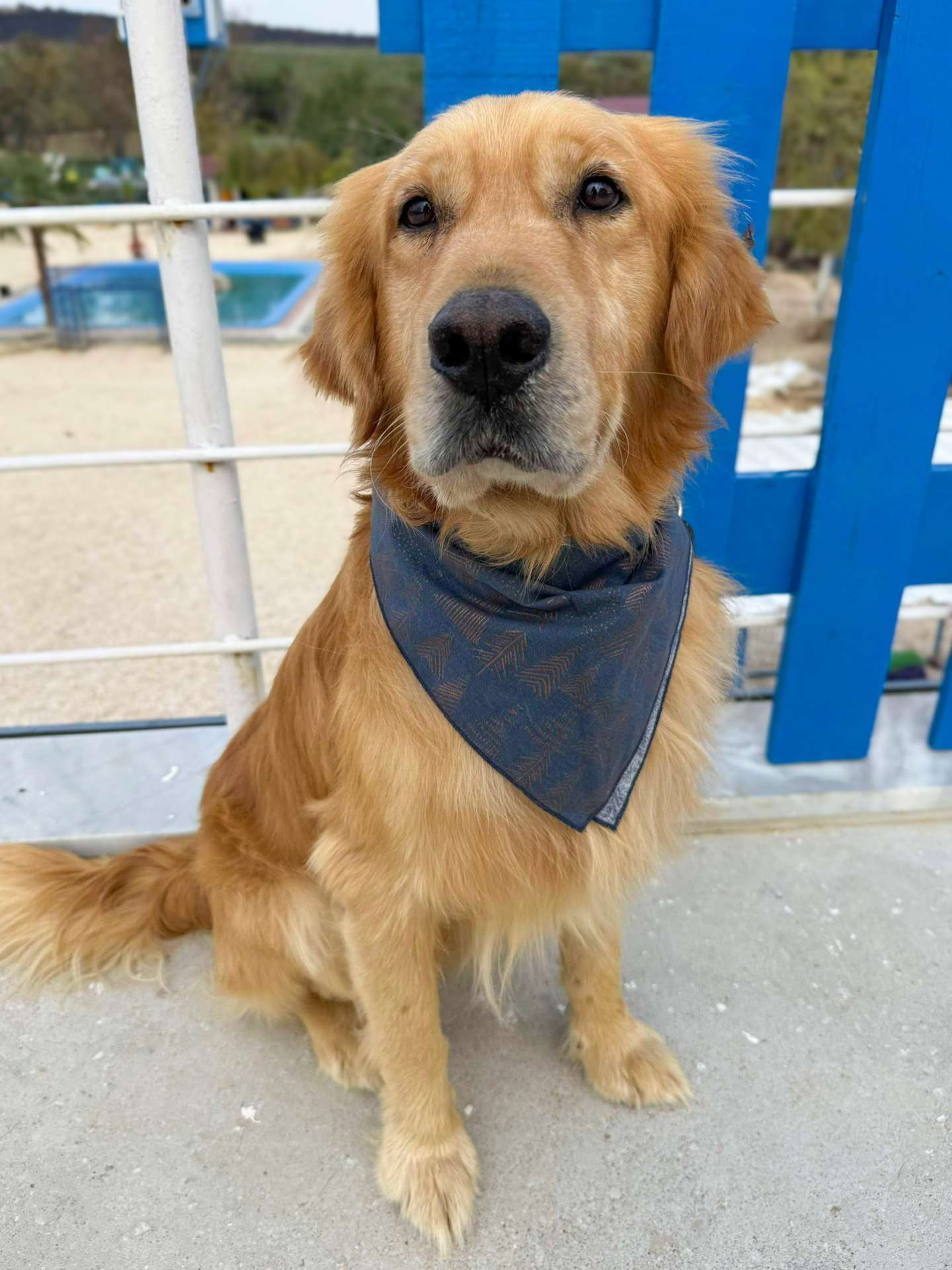 Cam-app limit exceeded