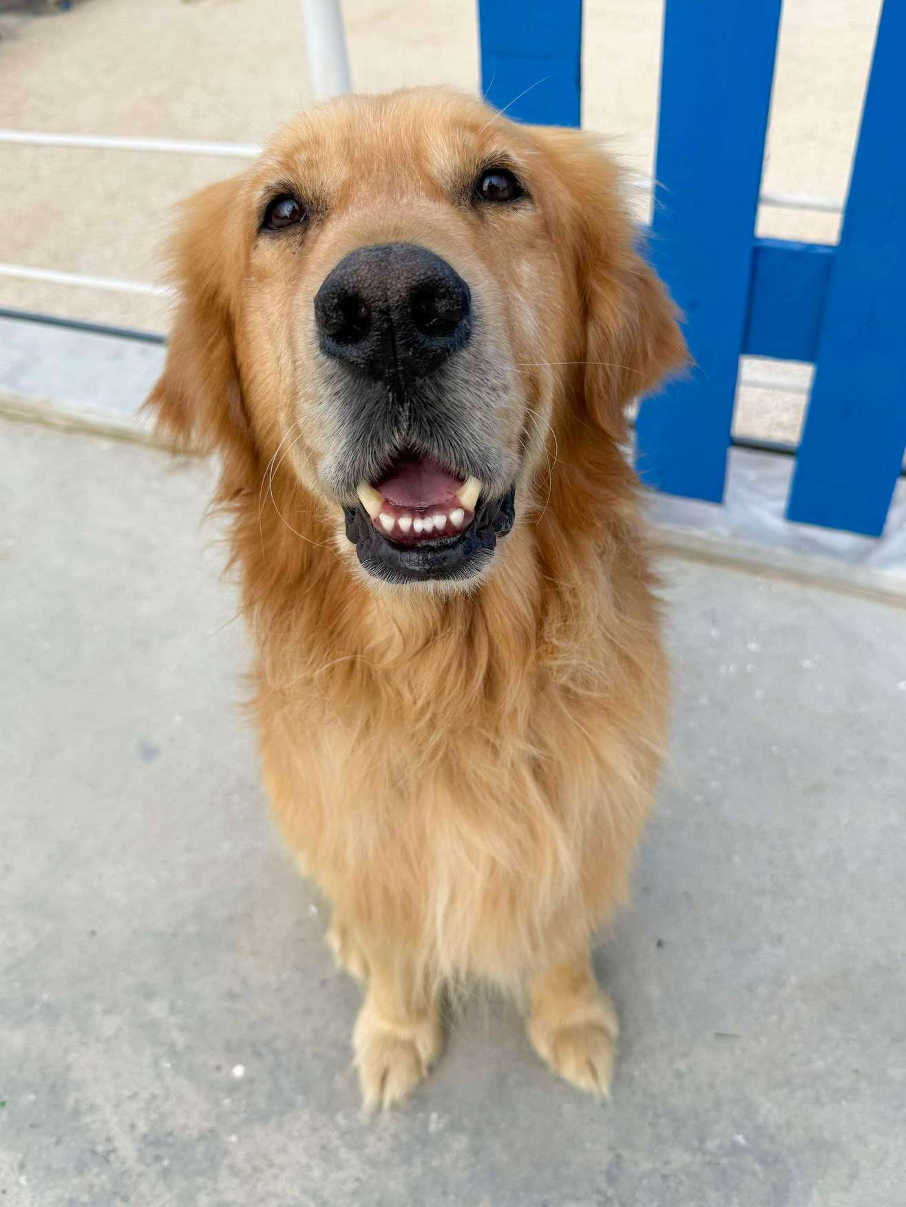 Cam-app limit exceeded