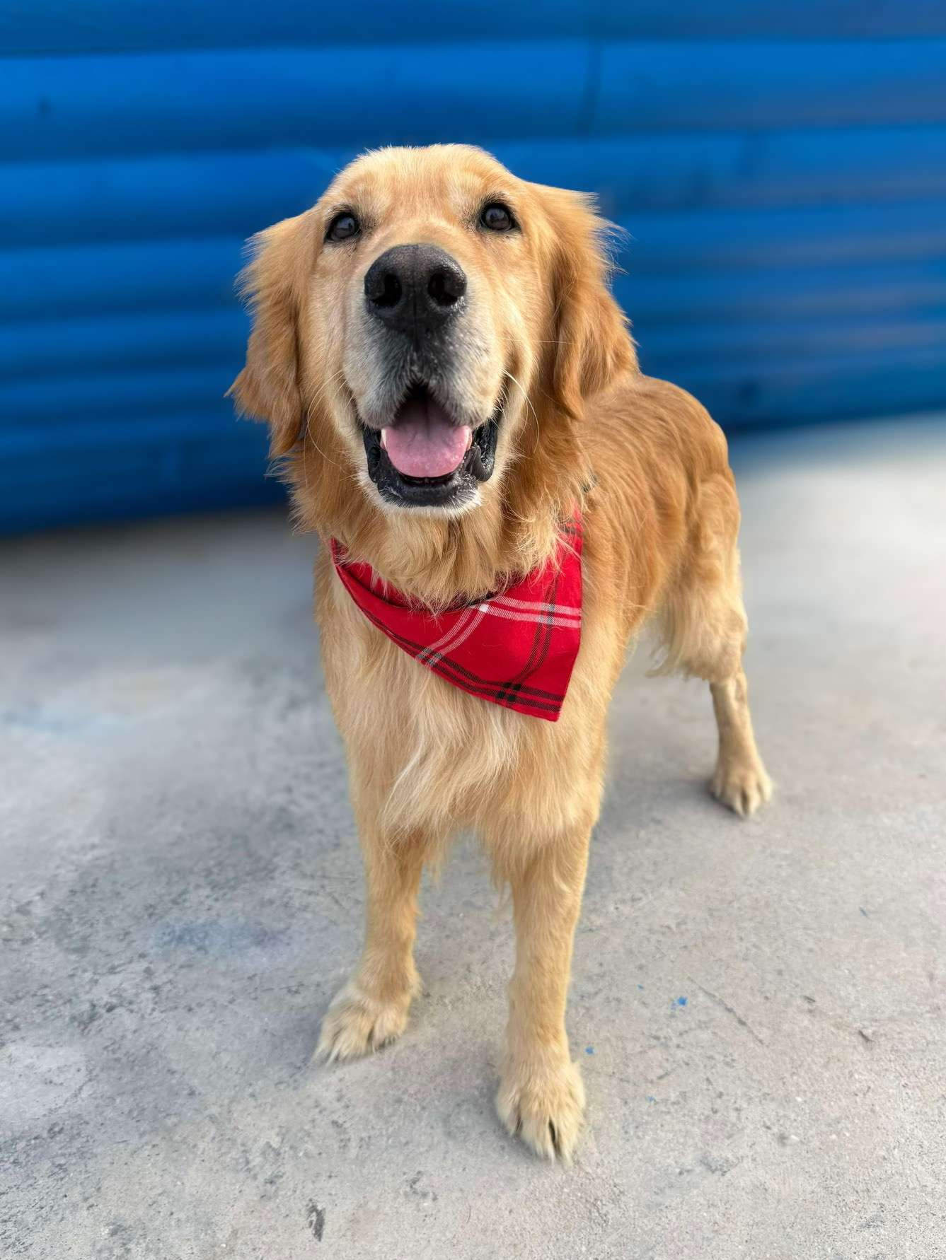 Cam-app limit exceeded