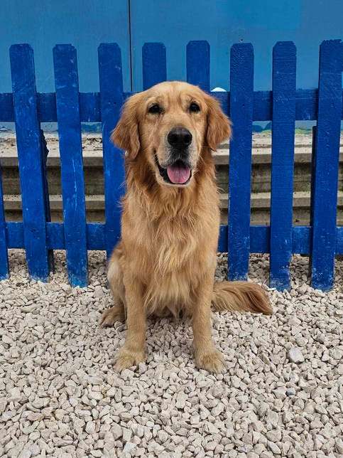 Cam-app limit exceeded