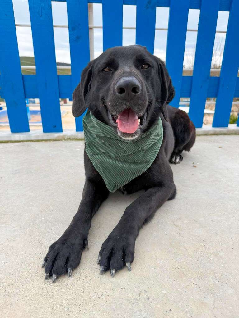 Jameson
