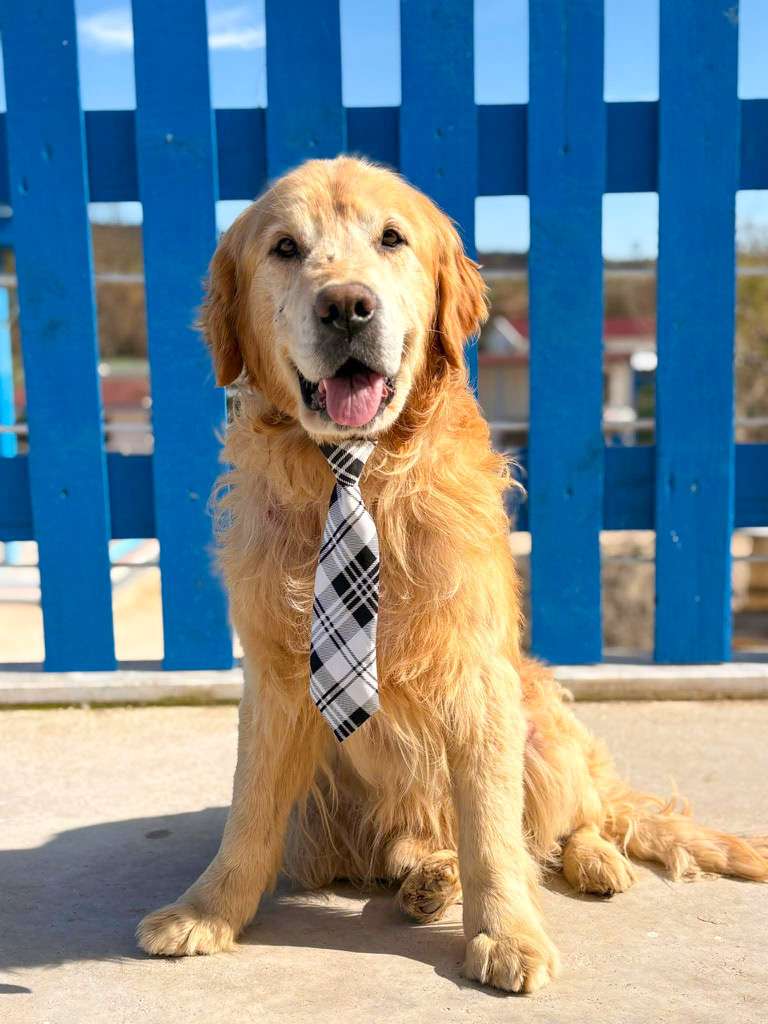 Alan