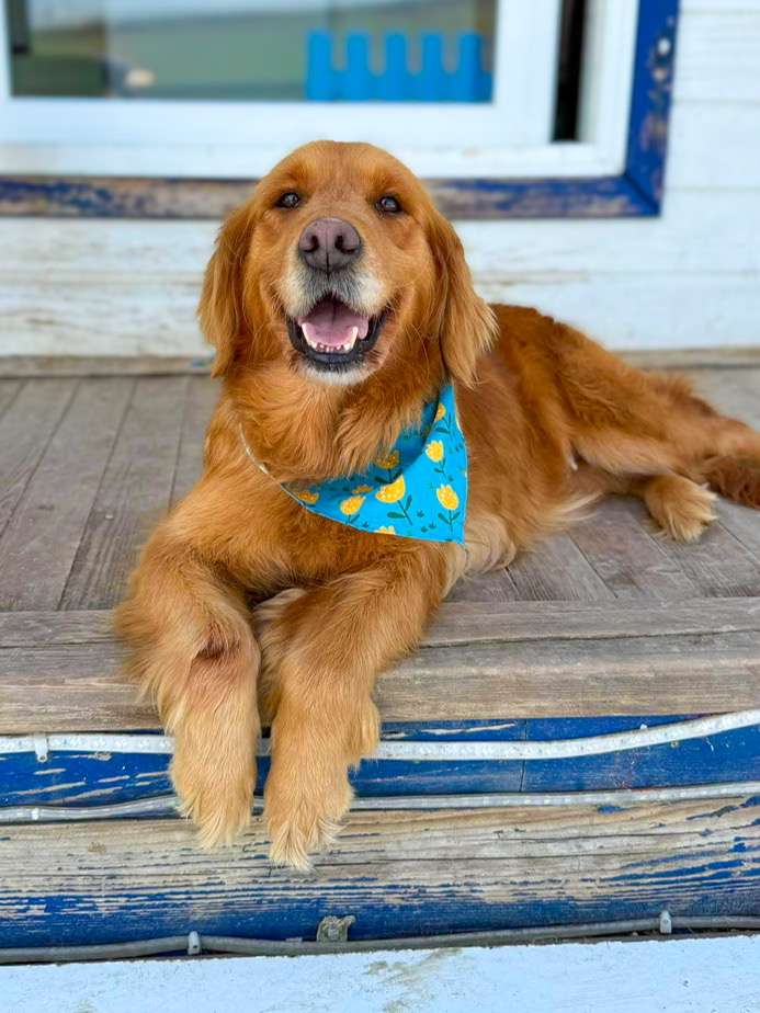 Tori