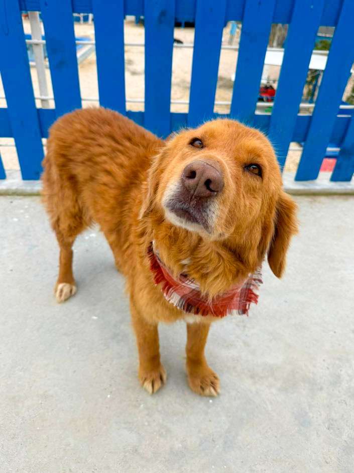 *ADOPTED* <br> October 