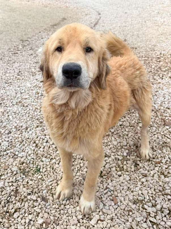 Barnaby
