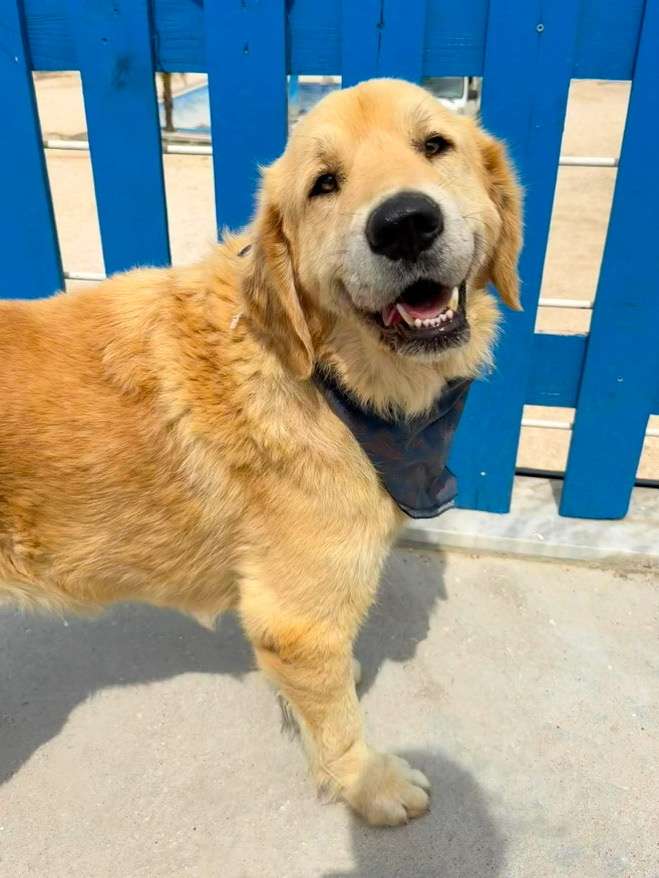 Barnaby