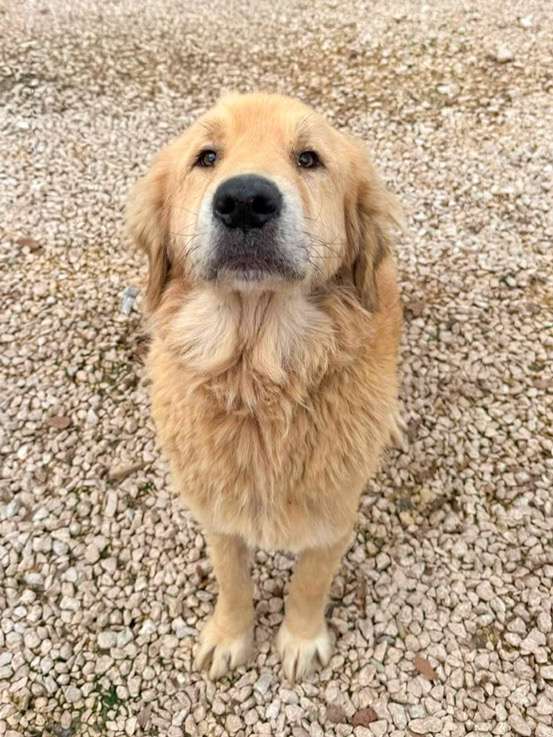Barnaby