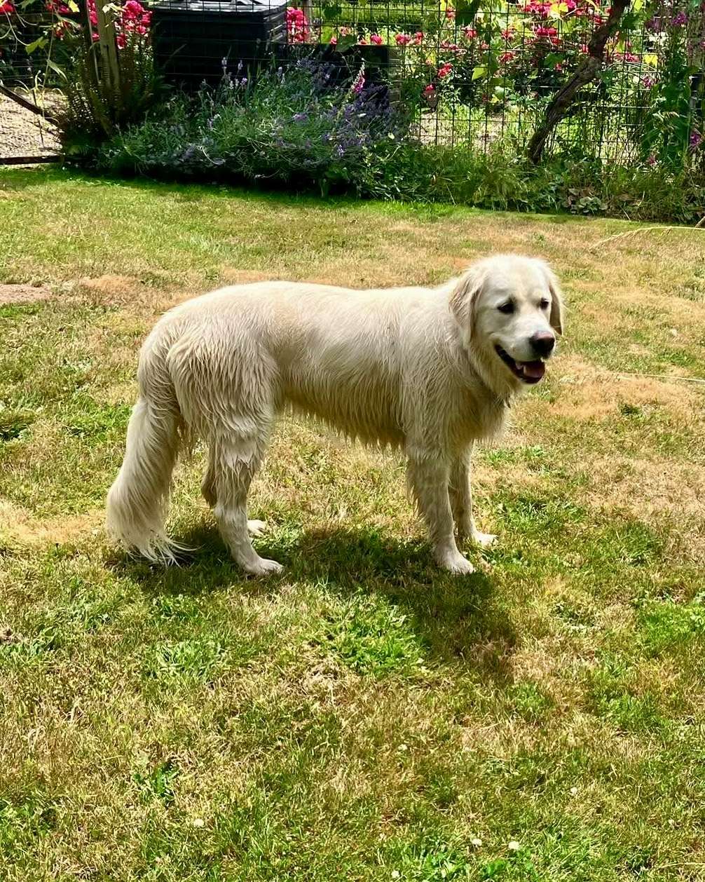 Ruggles