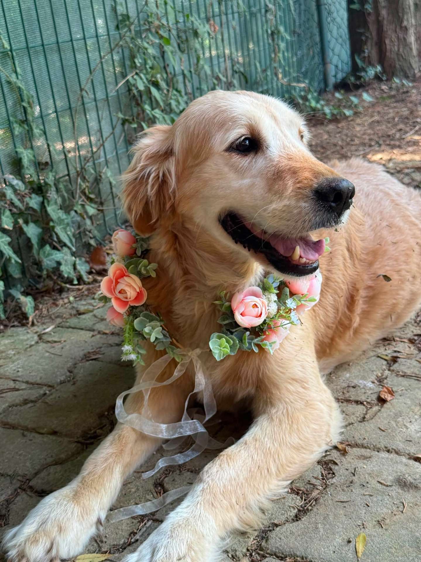 Winifred